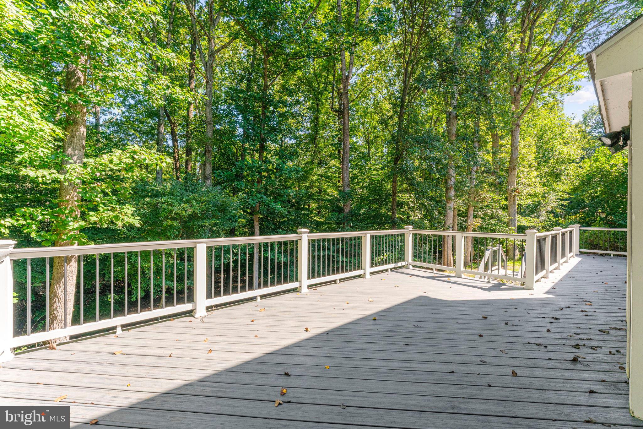 12498 CAVALIER DRIVE