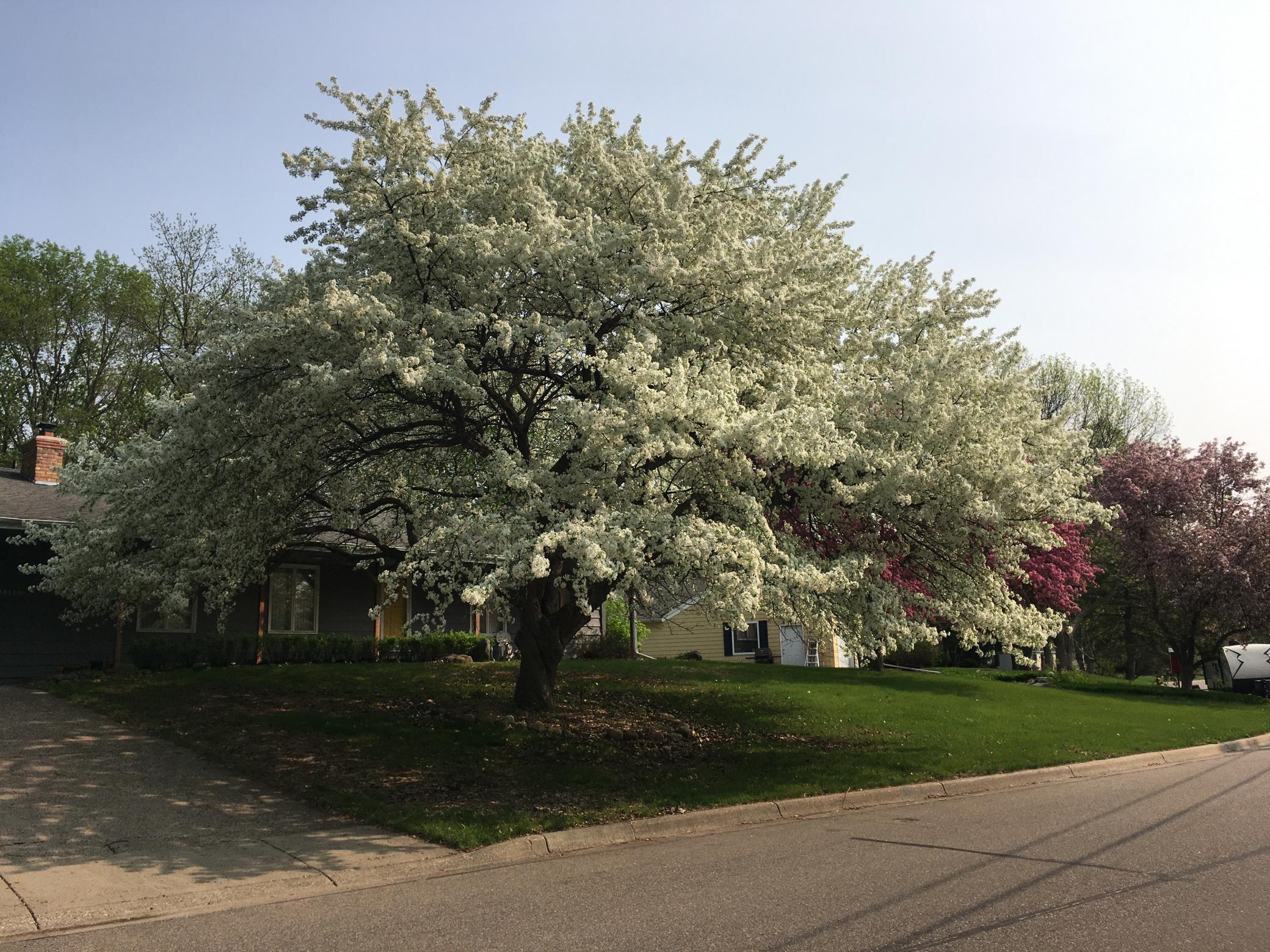 14120 Frontier Lane