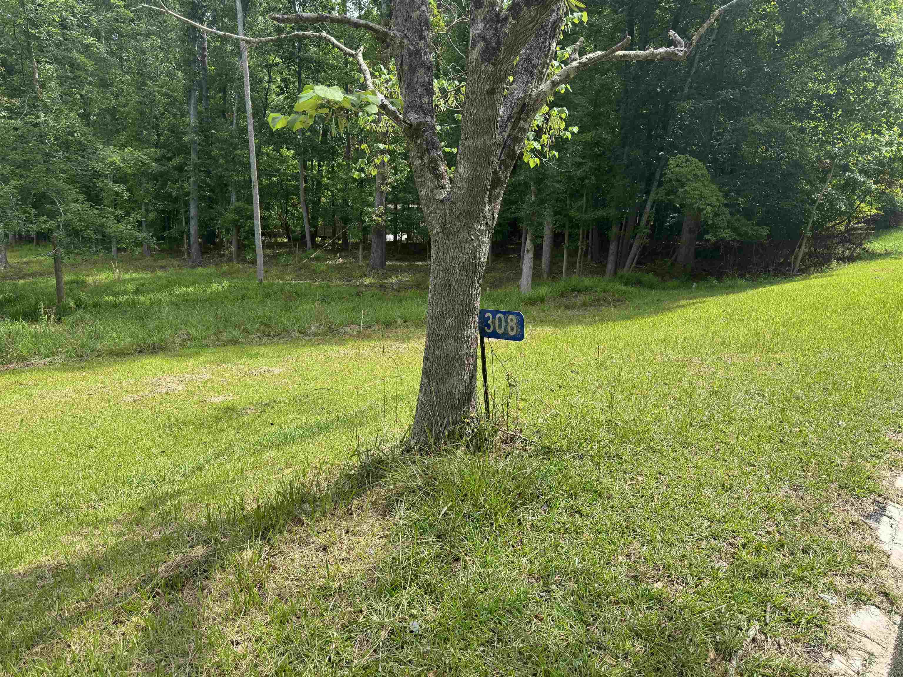 308 RIVER LAKE DRIVE # 0