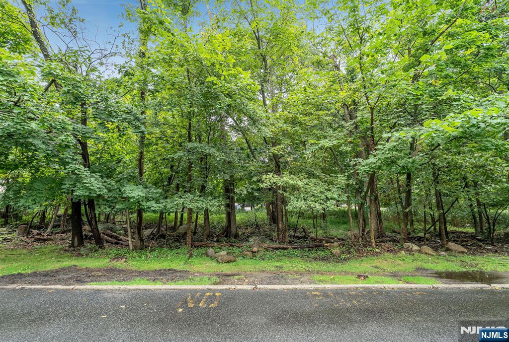 13 Briarwood Court E