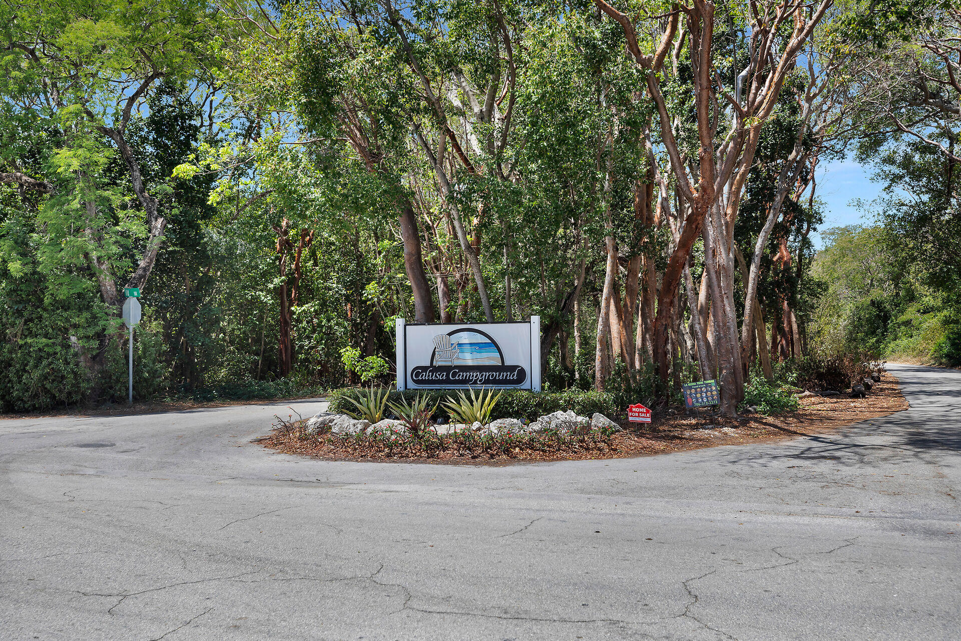325 Calusa Street 250