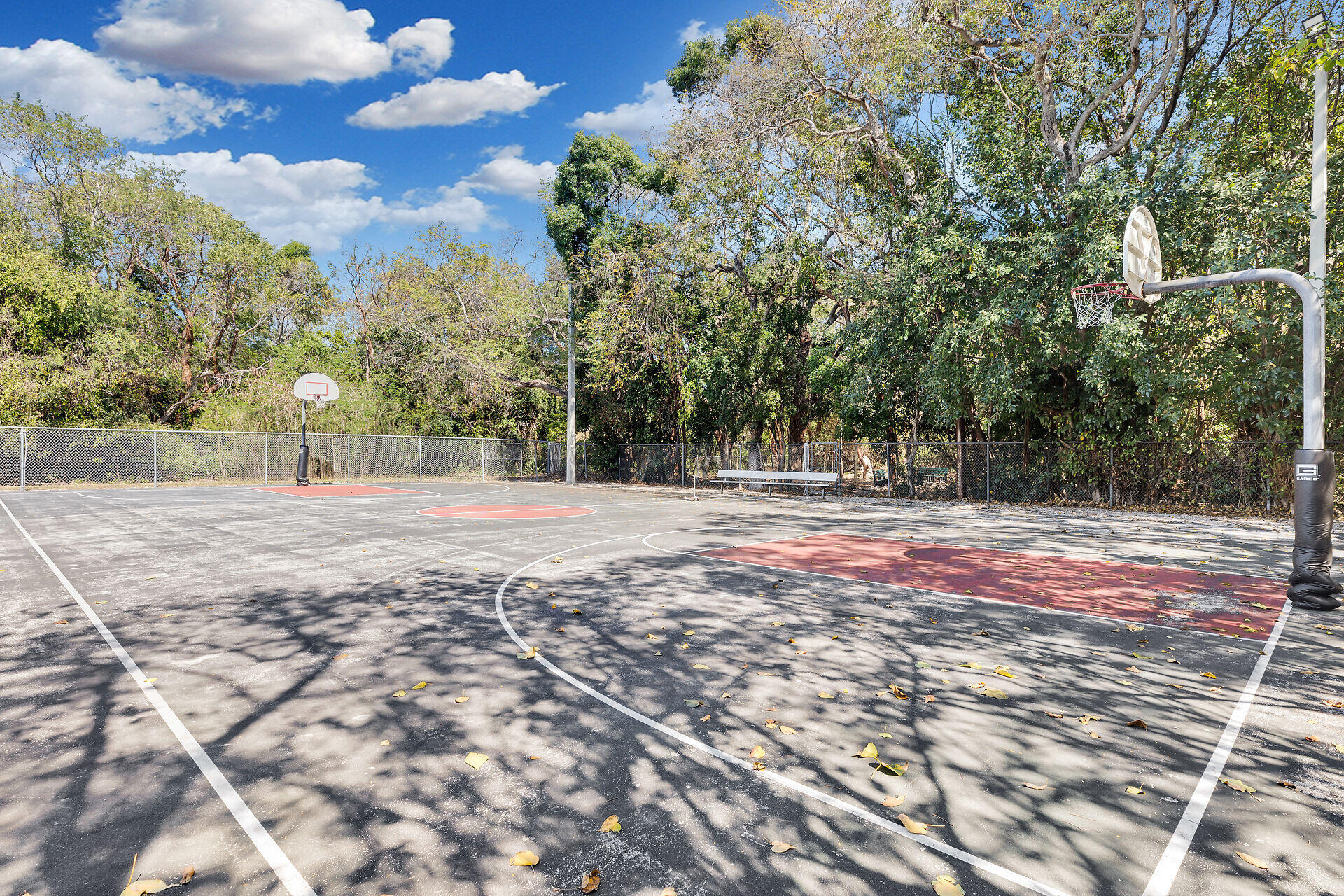 53 Hibiscus Lane