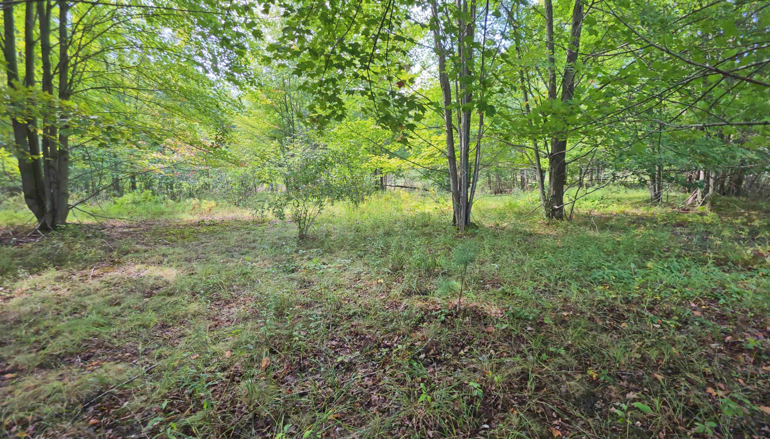 14228 Bishop Road