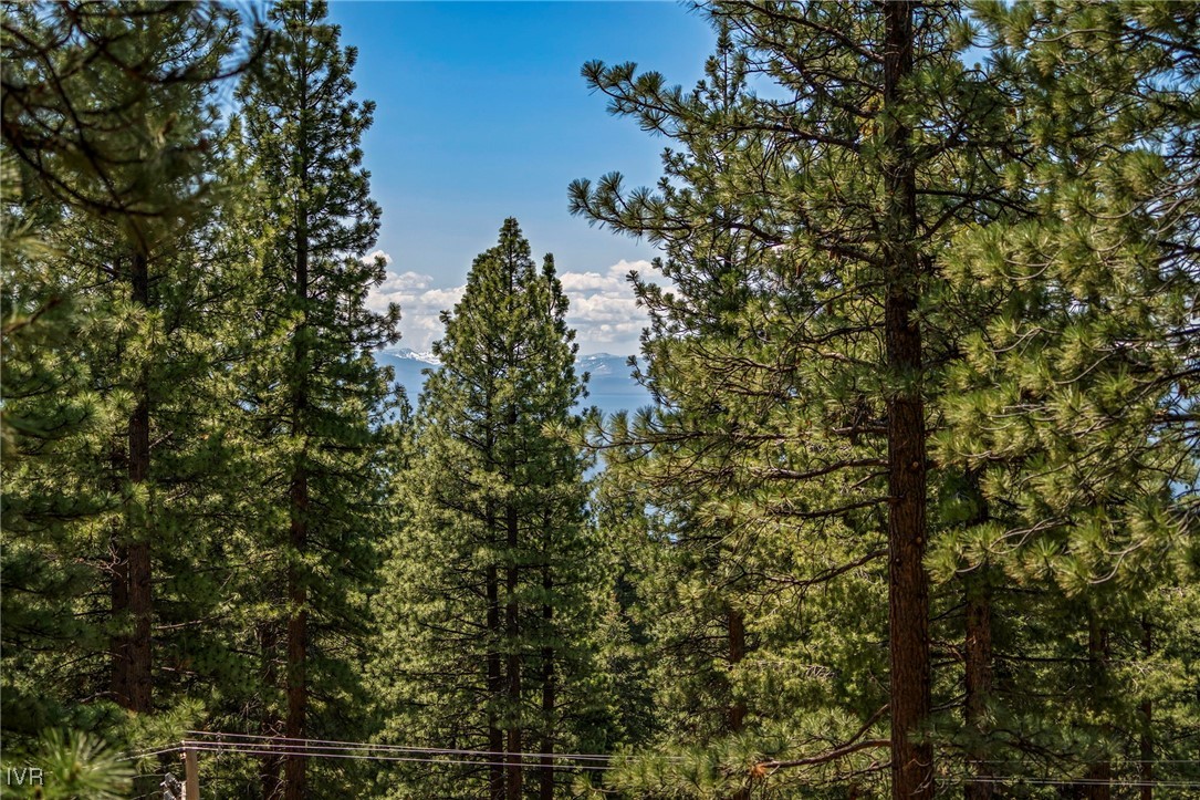 587 Rockrose Court