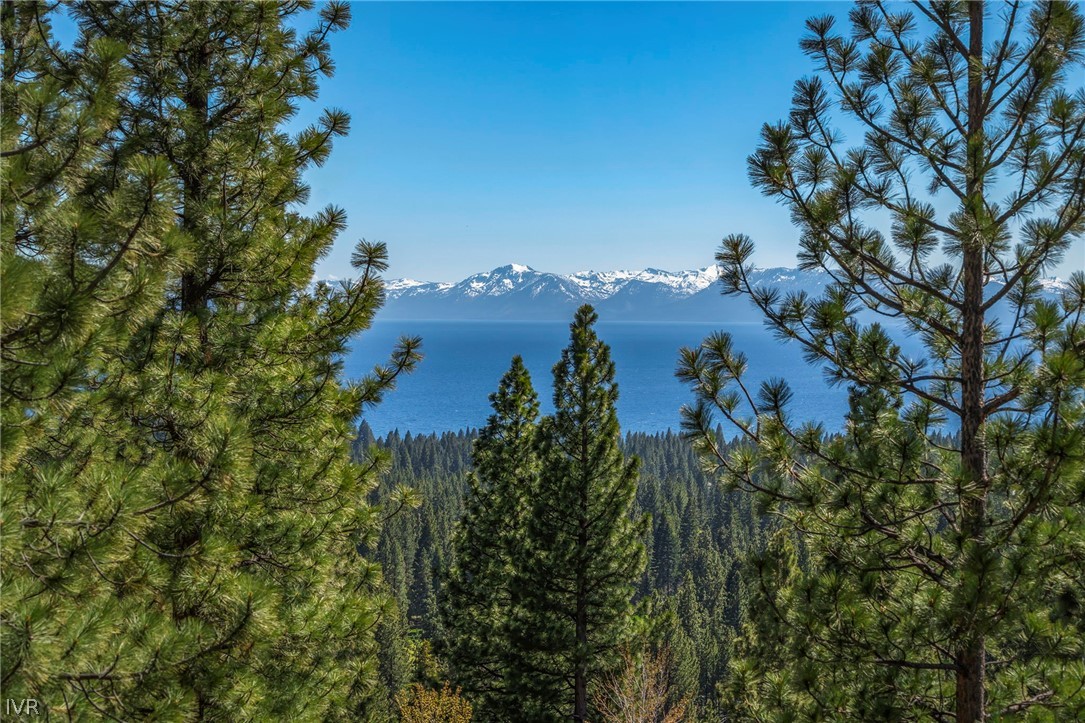 545 Alpine View