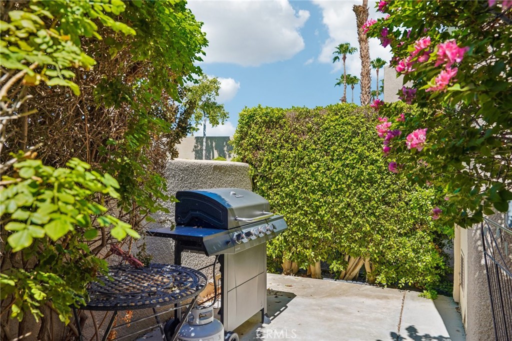 29086 Desert Princess Drive