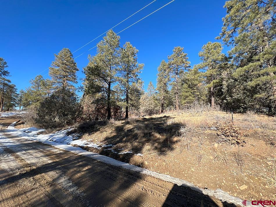 1155 Doc Adams Road