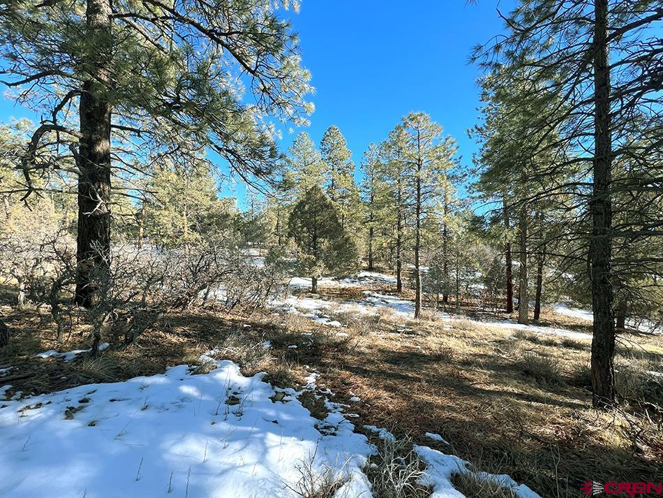 1155 Doc Adams Road
