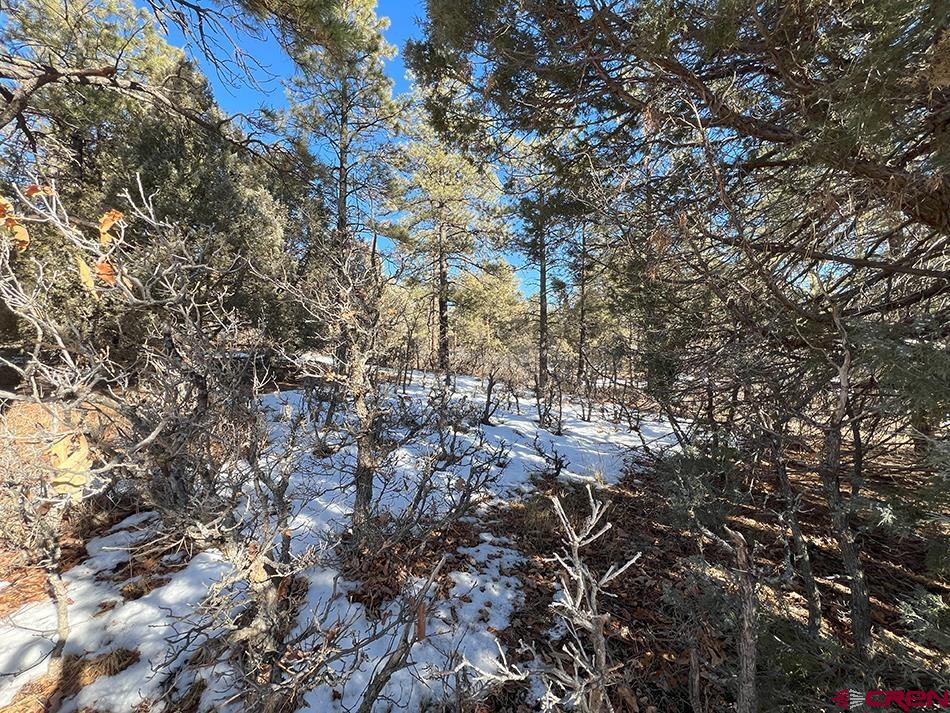 1155 Doc Adams Road