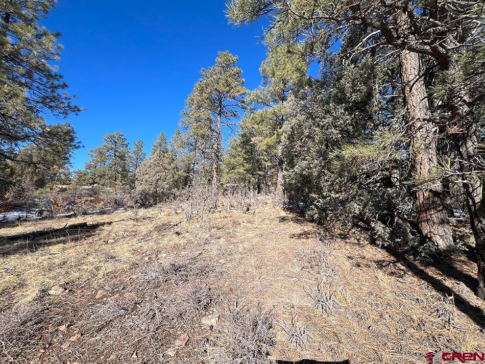 1155 Doc Adams Road
