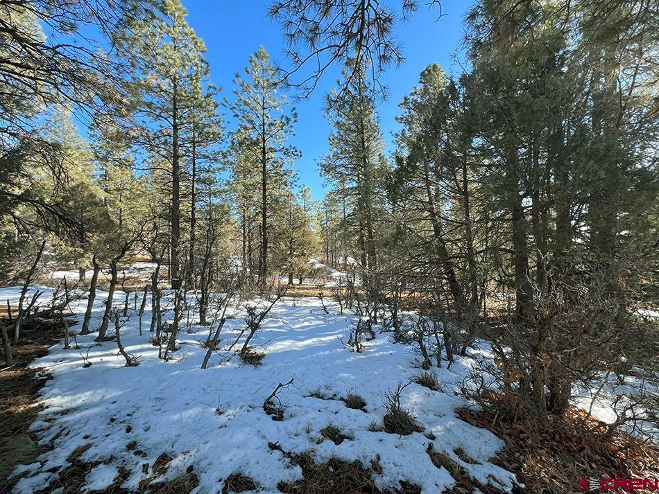 1155 Doc Adams Road