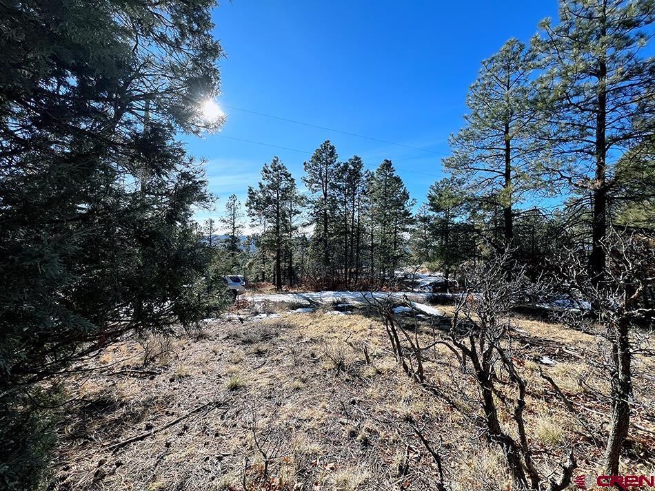 1155 Doc Adams Road