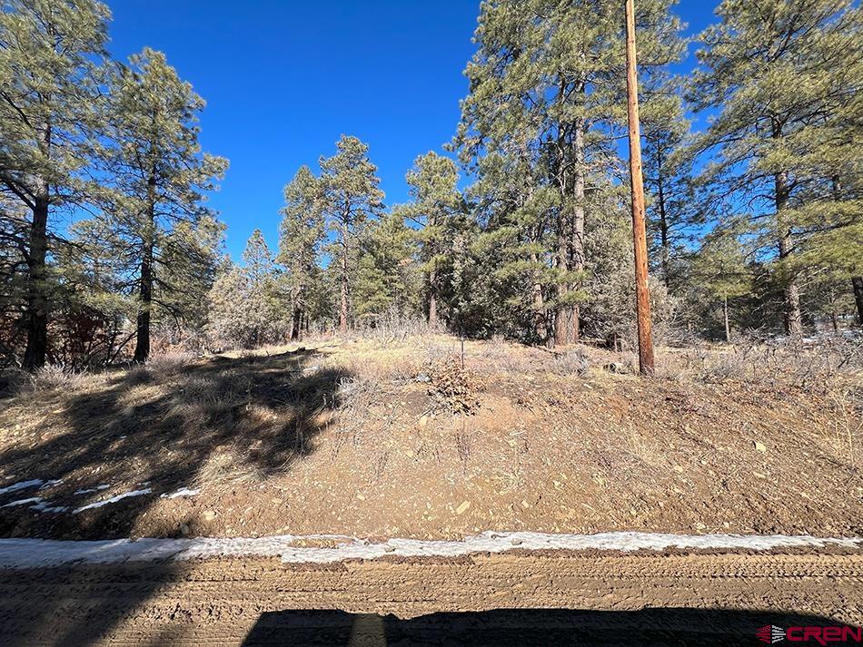 1155 Doc Adams Road