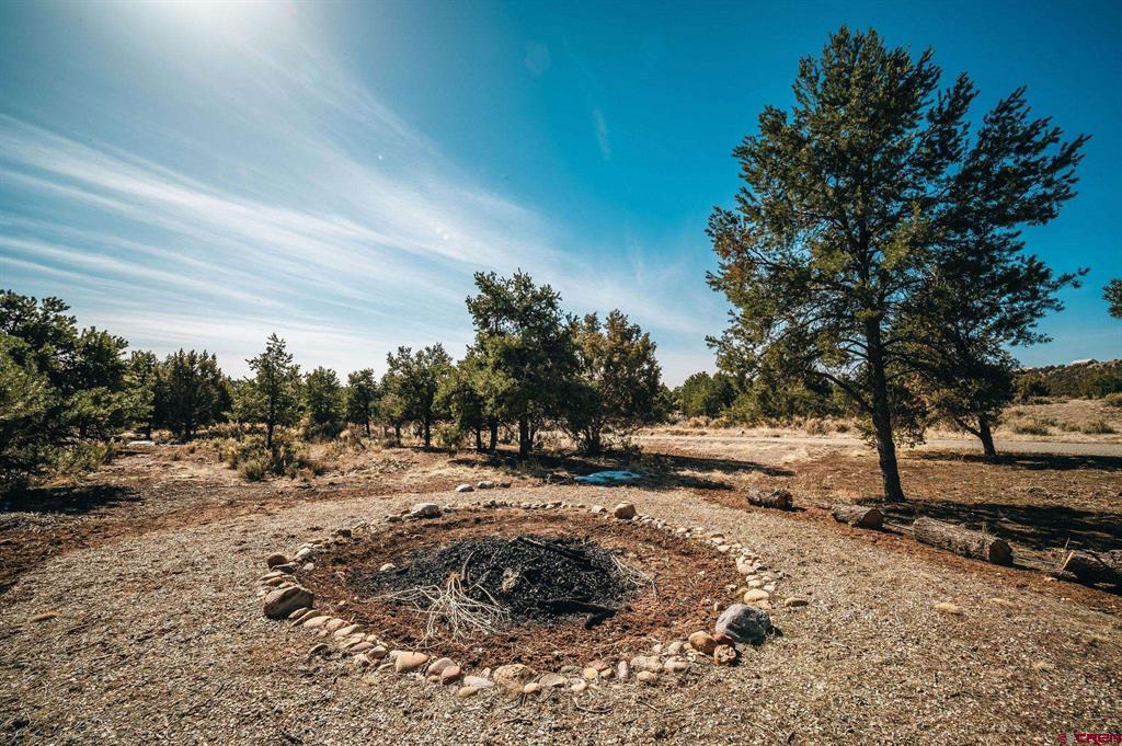 533 Jack Rabbit Trail