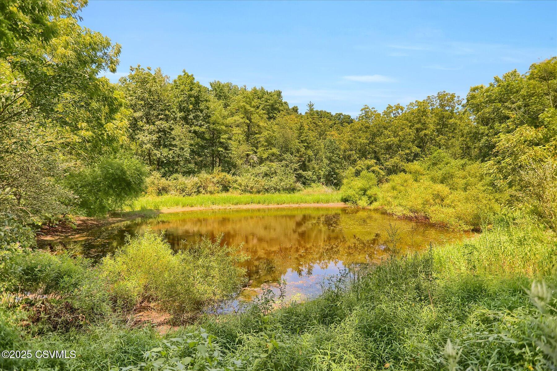 1432 CREEK Road