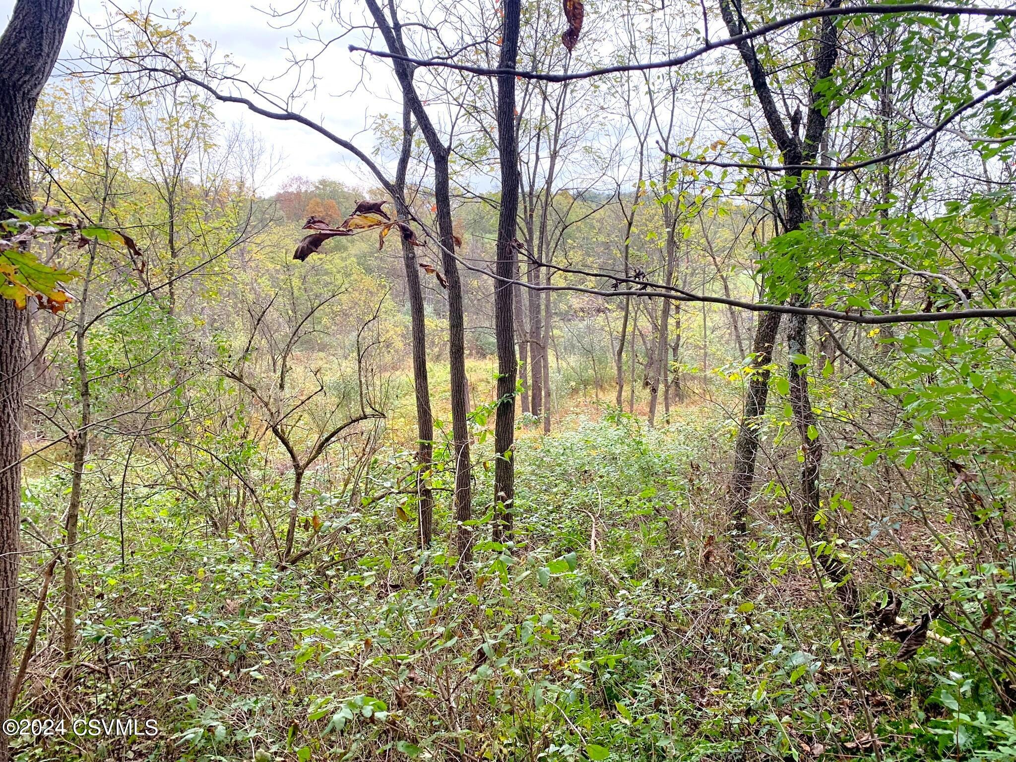 LOT 4 MILROY Road