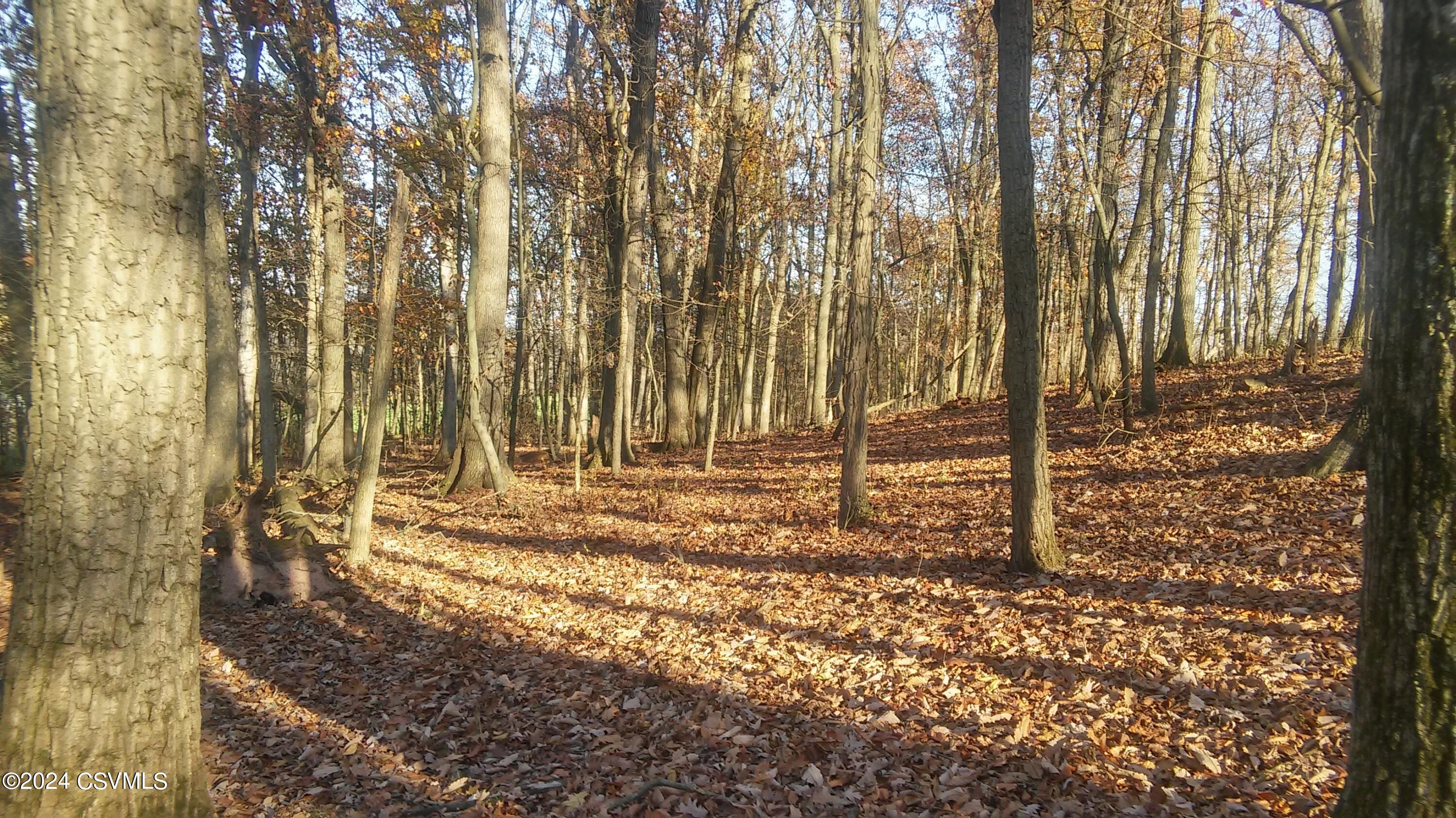 LOT 4 MILROY Road