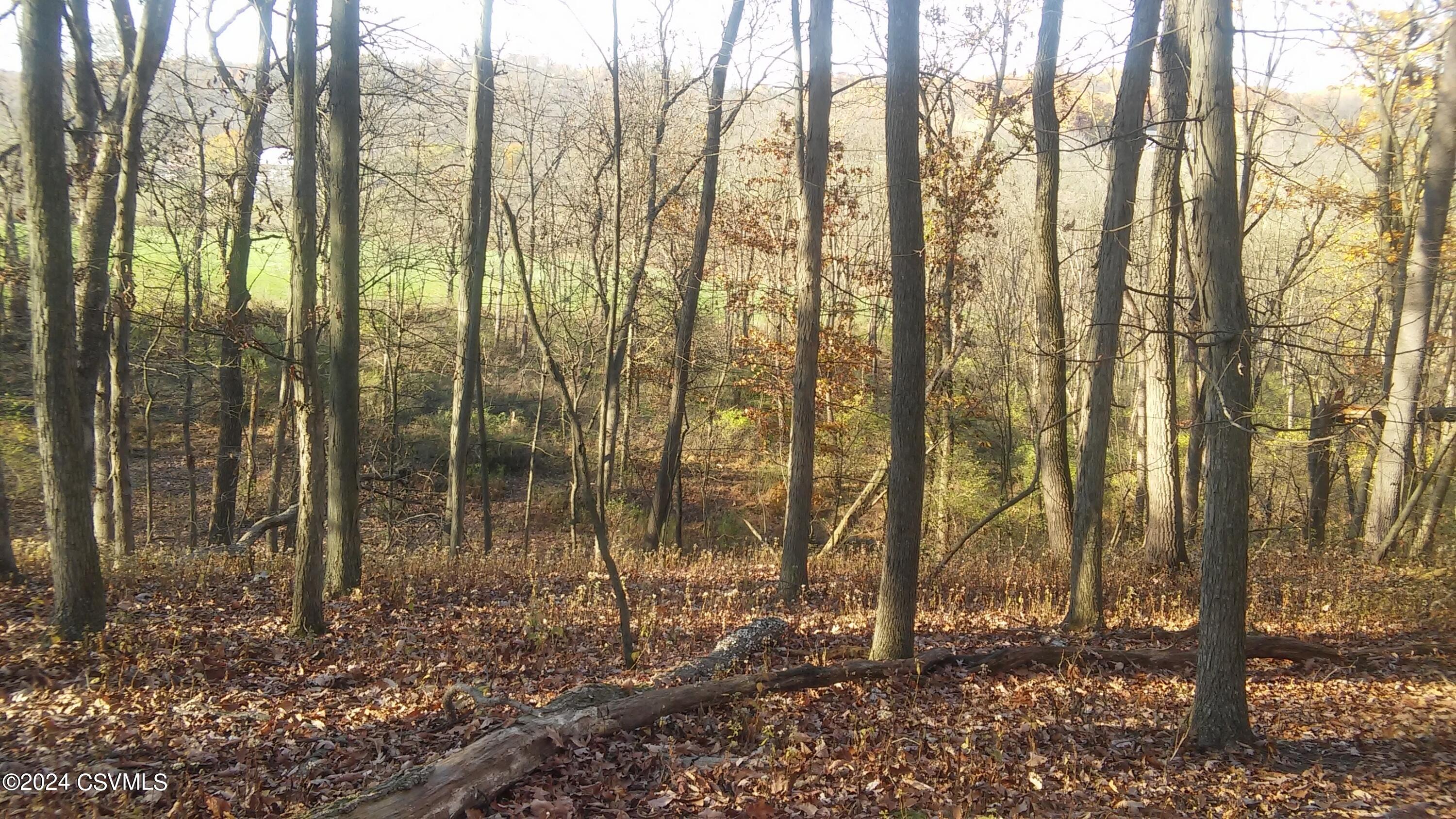 LOT 4 MILROY Road