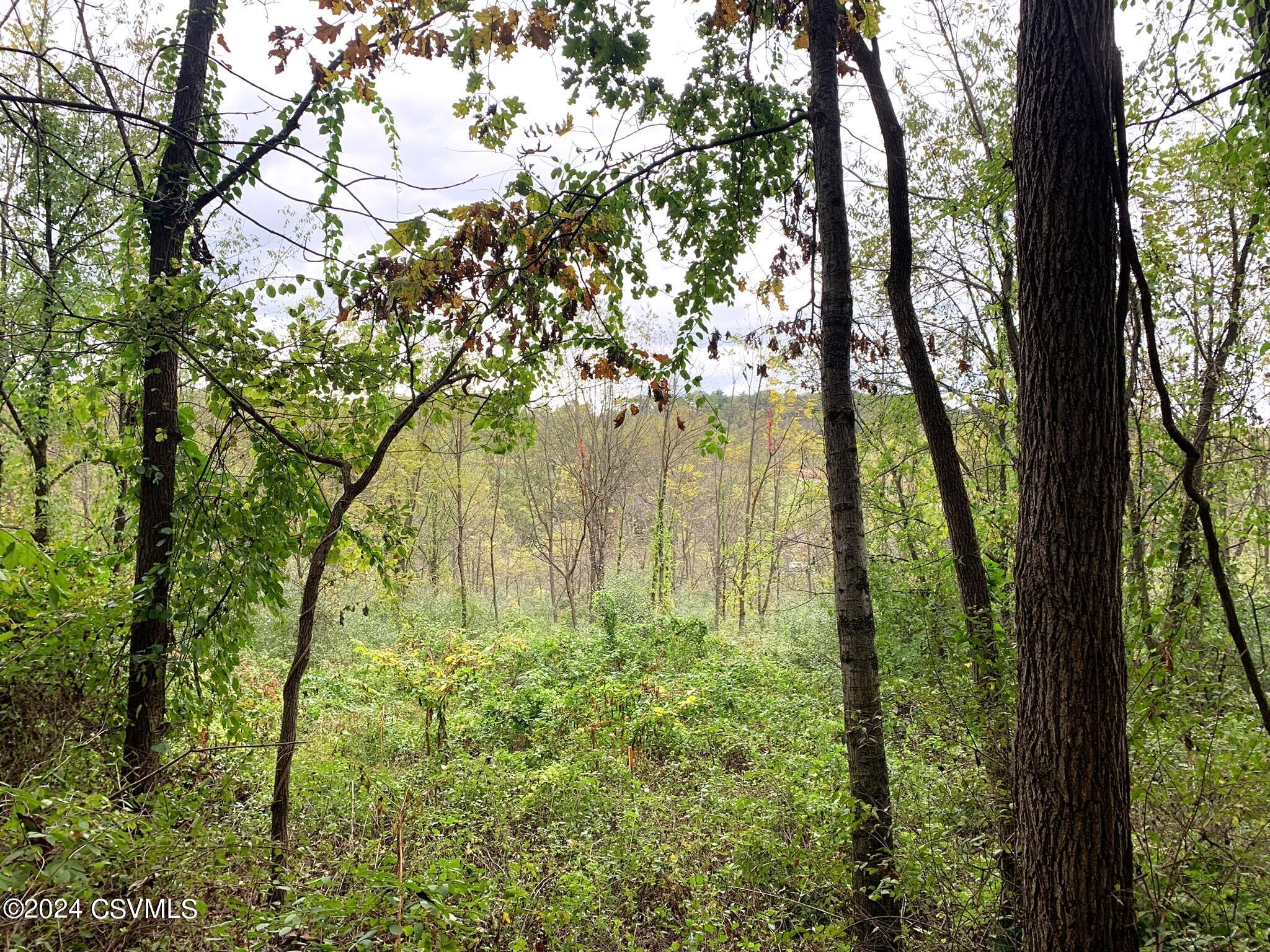 LOT 4 MILROY Road