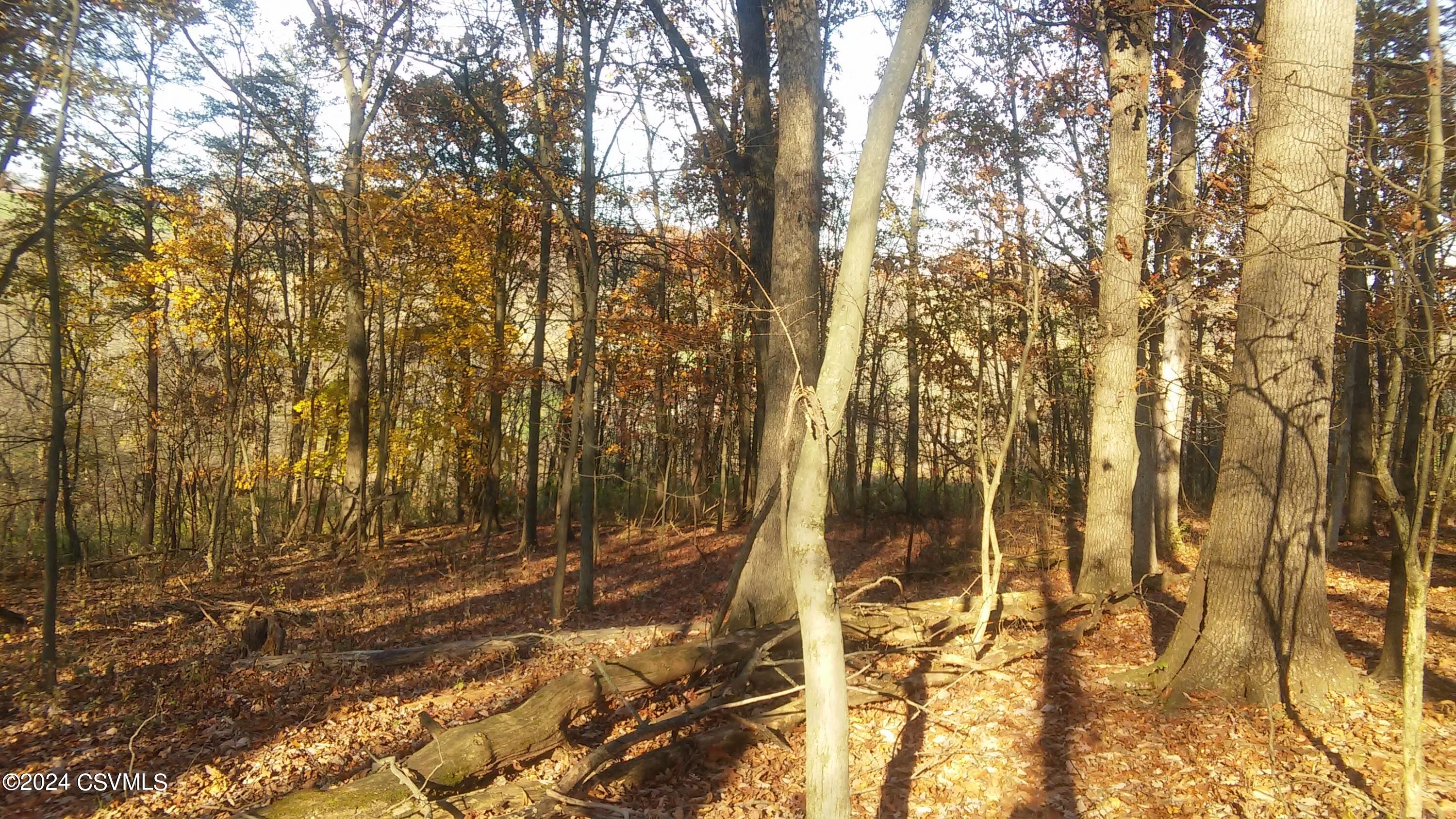 LOT 4 MILROY Road