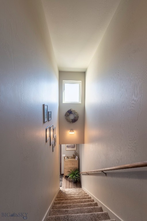 1309 Scooter Lane B