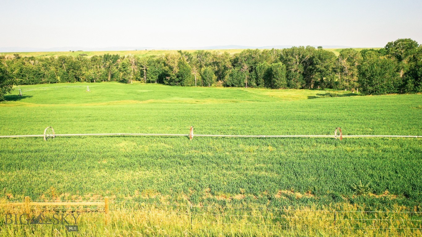 NHN Shields River Road