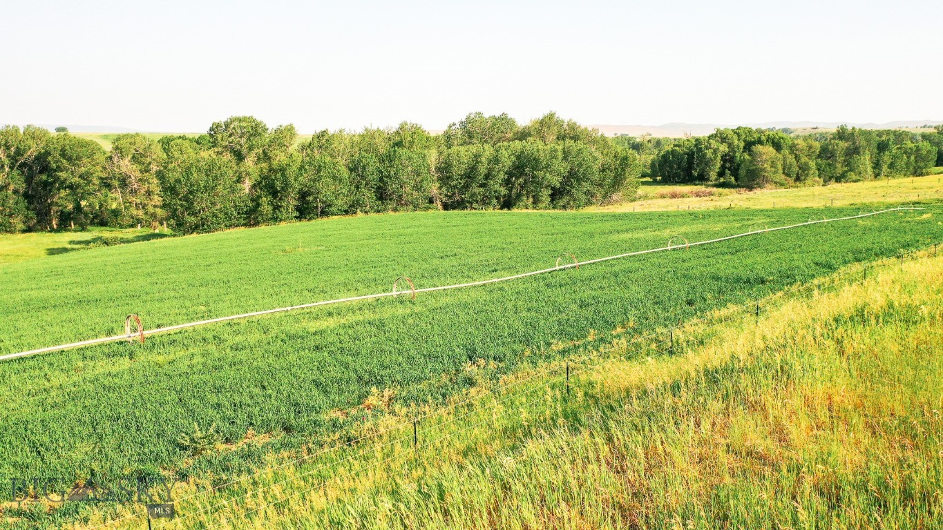 NHN Shields River Road