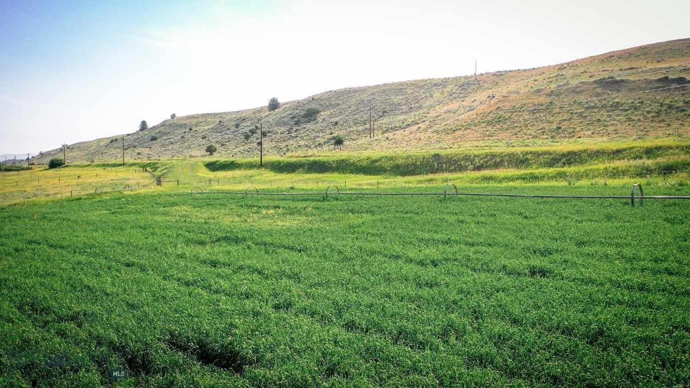 NHN Shields River Road