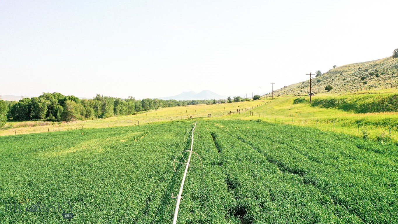 NHN Shields River Road