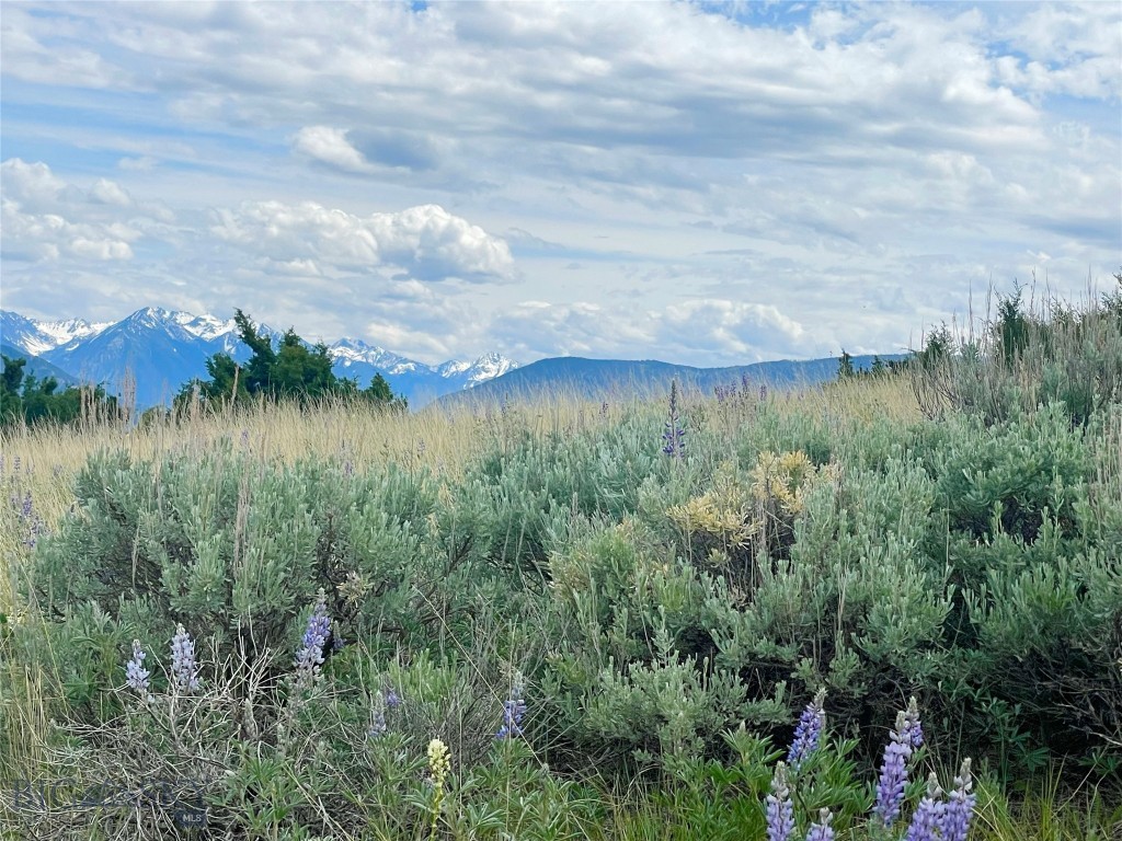 Tract 9C Gateway Drive