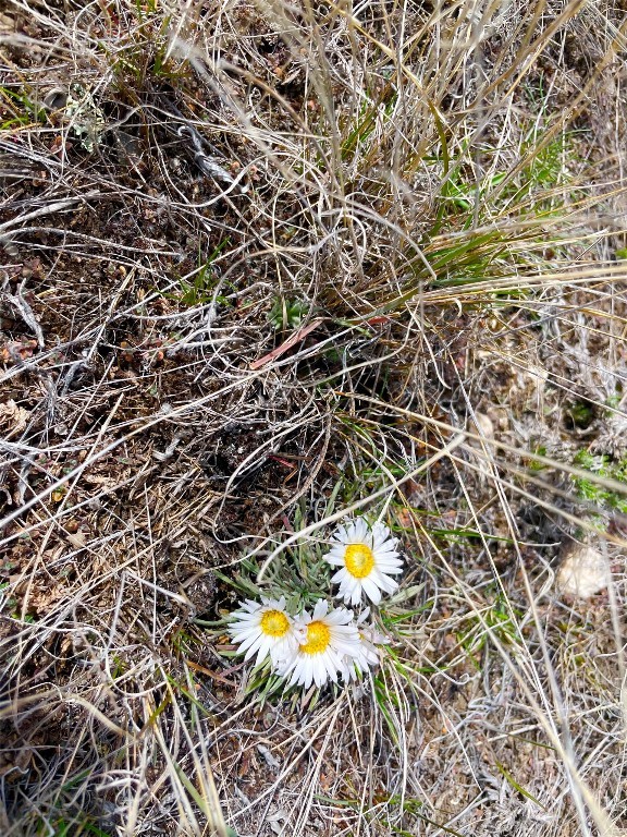 Tract 9C Gateway Drive