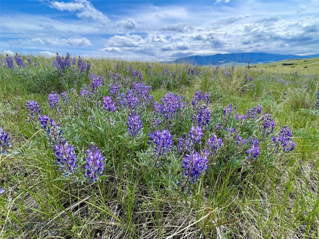 Tract 9C Gateway Drive