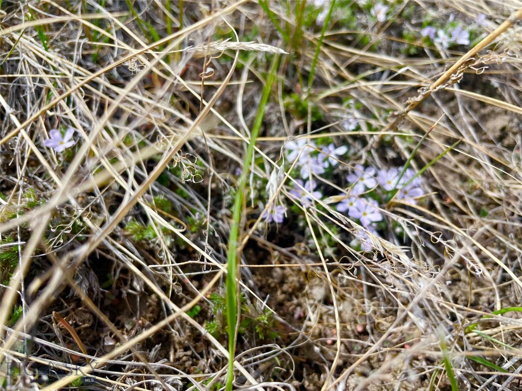 Tract 9C Gateway Drive