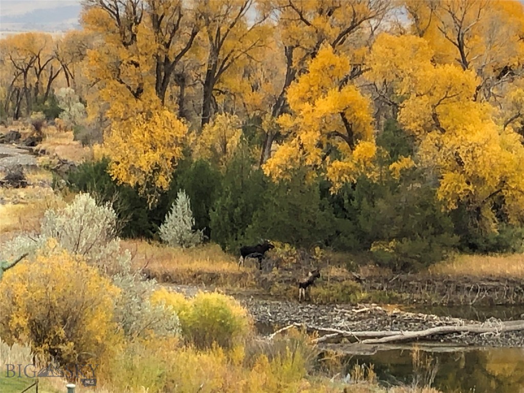 275 Convict Grade Road