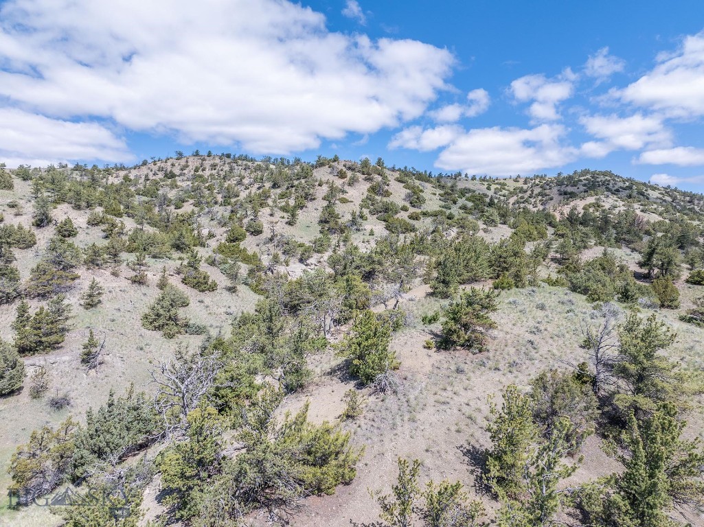 275 Convict Grade Road