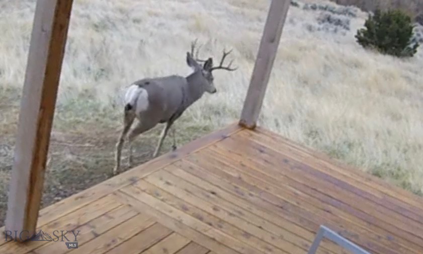 275 Convict Grade Road