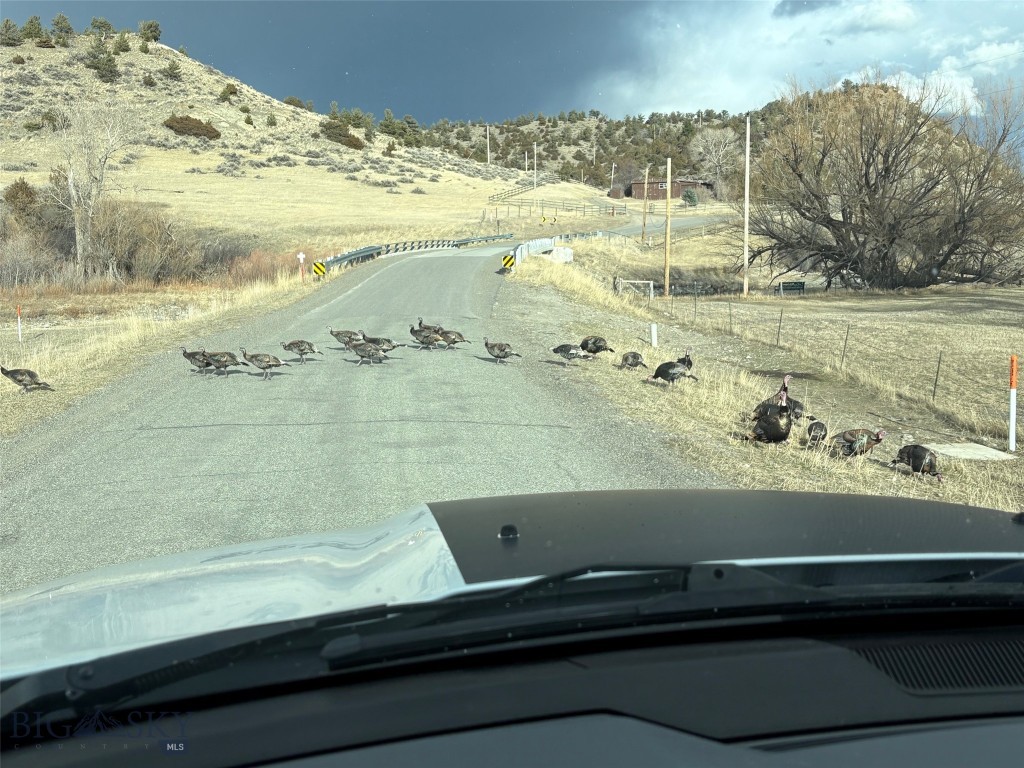 275 Convict Grade Road