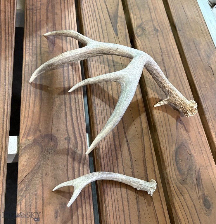 275 Convict Grade Road