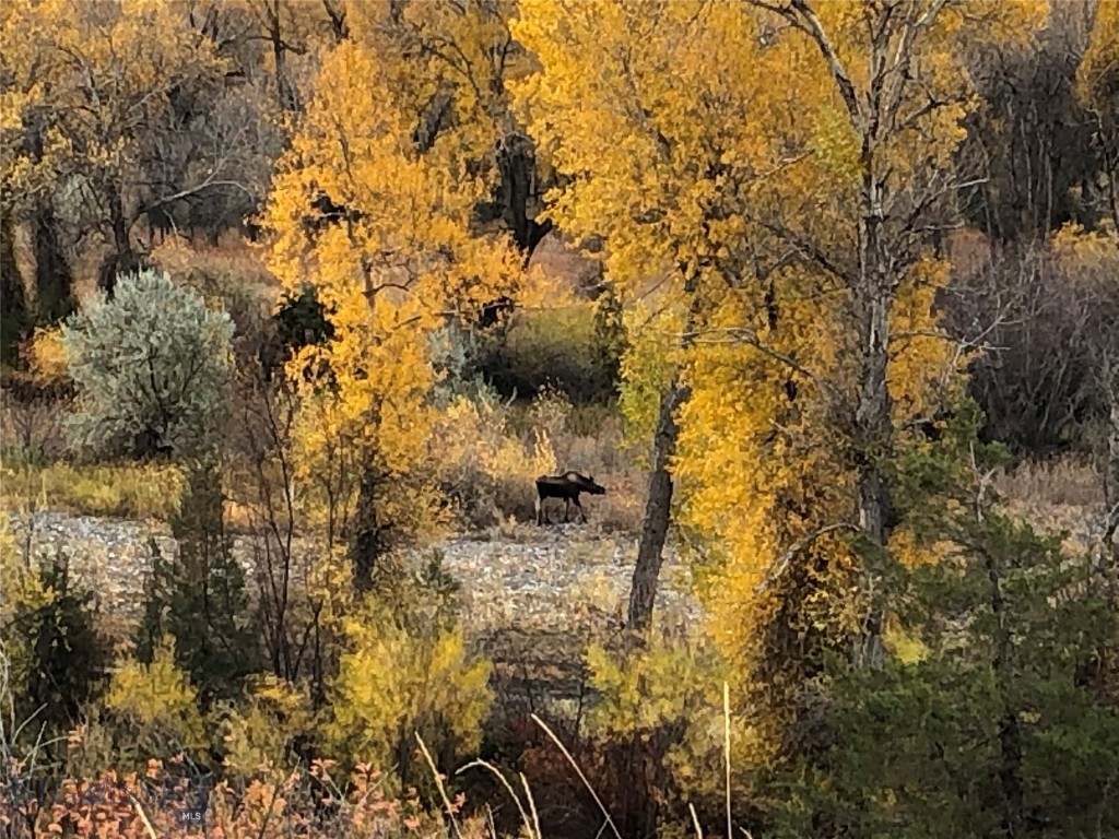 275 Convict Grade Road