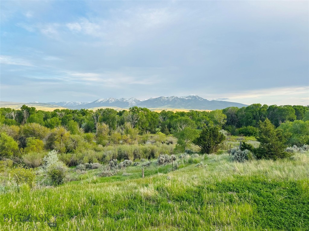 275 Convict Grade Road