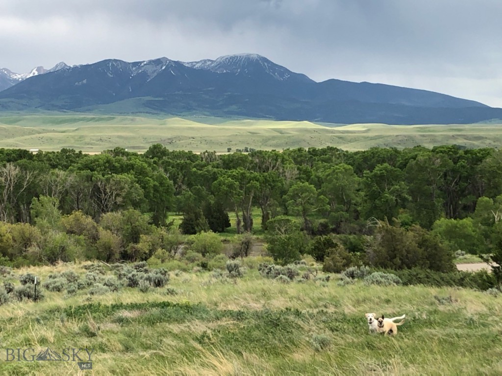 275 Convict Grade Road