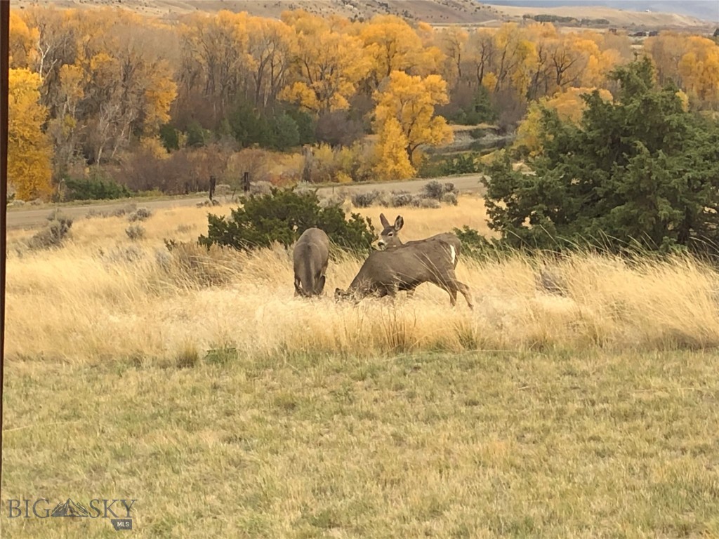 275 Convict Grade Road