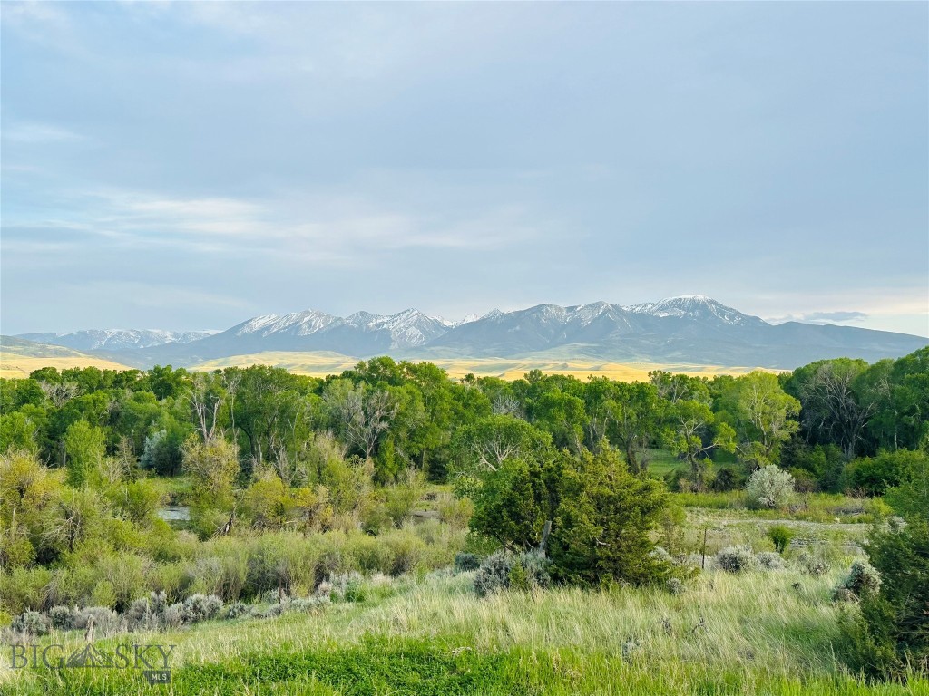 275 Convict Grade Road