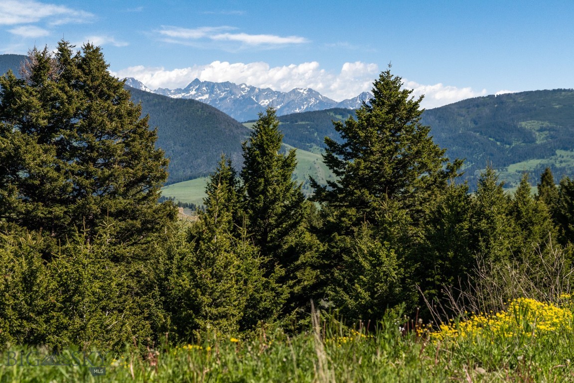 125 Rocky Mountain Meadows