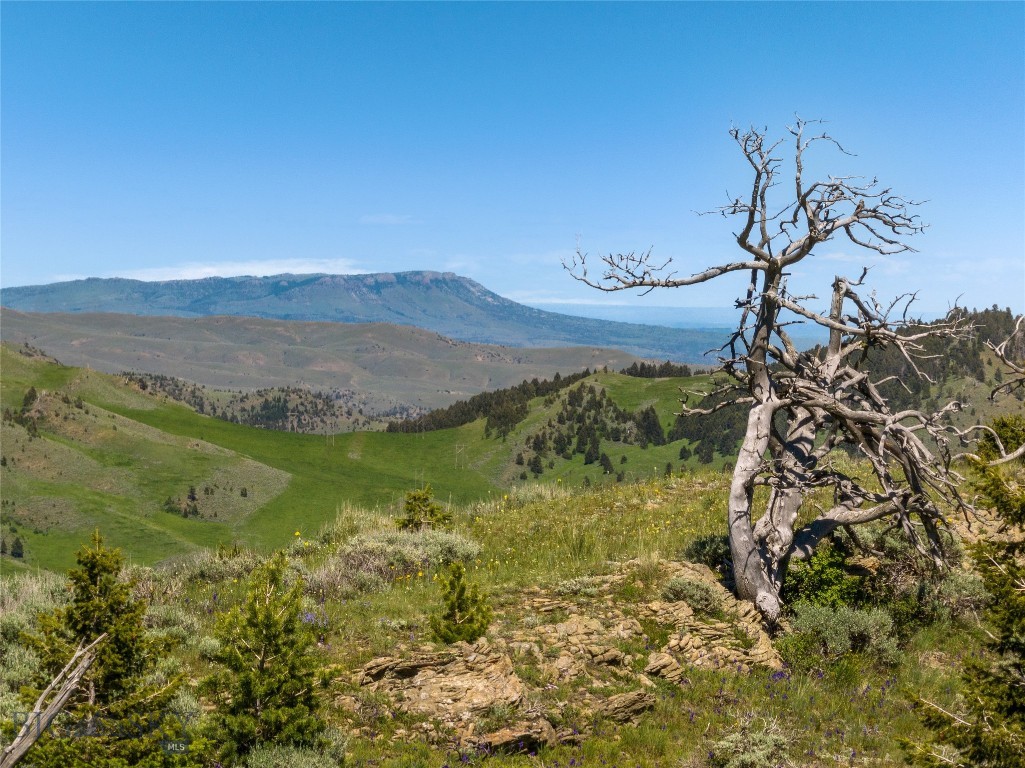 125 Rocky Mountain Meadows