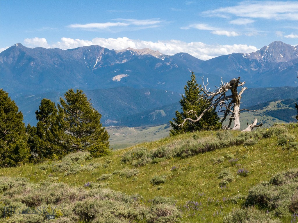 125 Rocky Mountain Meadows