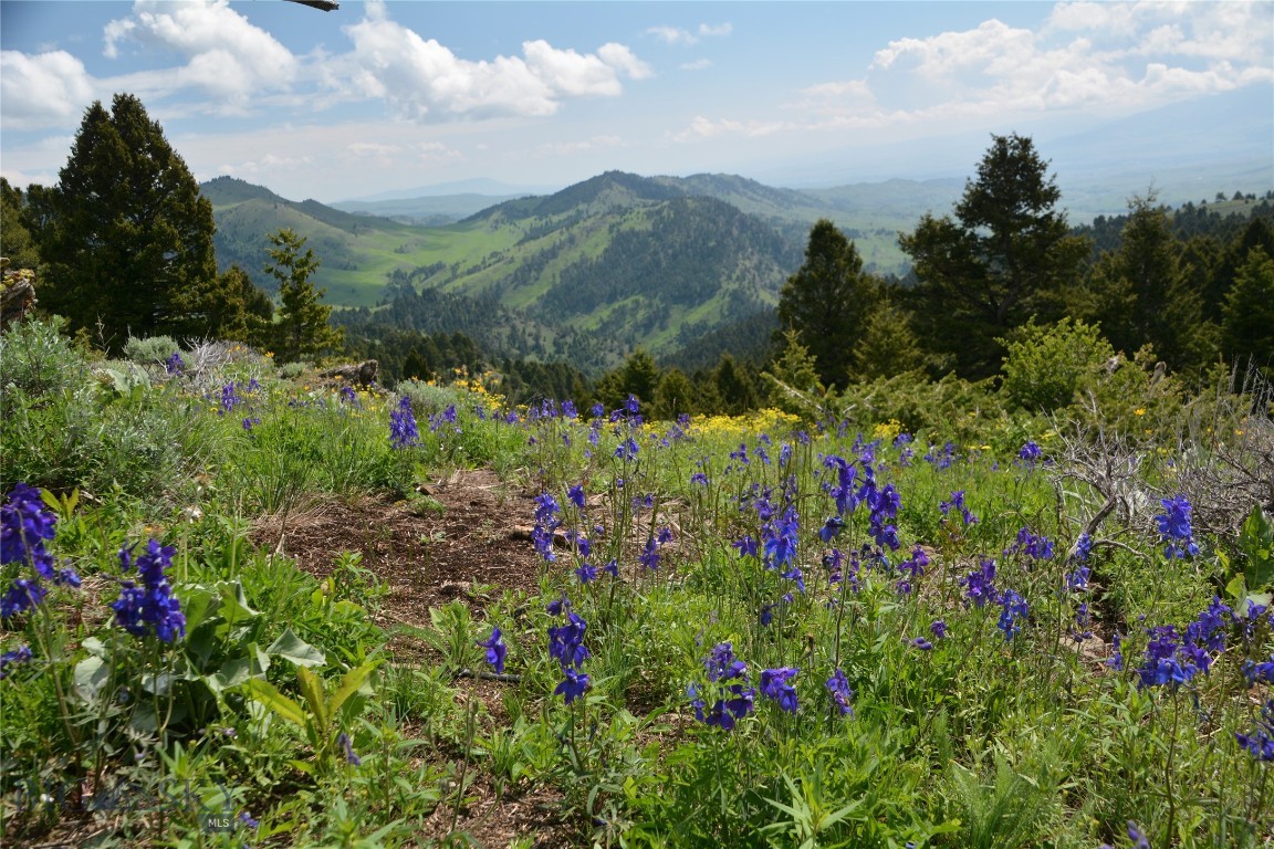 125 Rocky Mountain Meadows