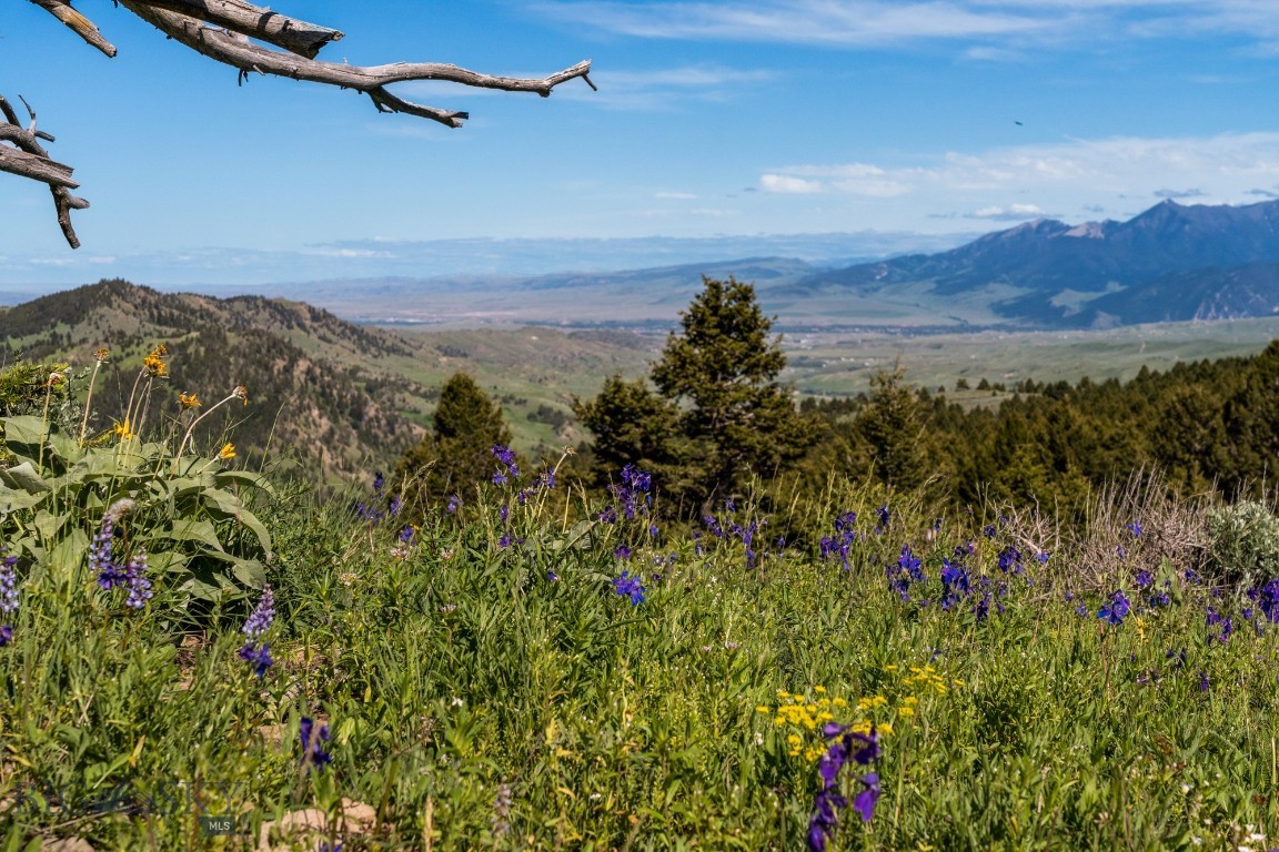 125 Rocky Mountain Meadows
