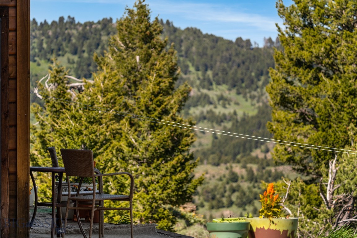 125 Rocky Mountain Meadows