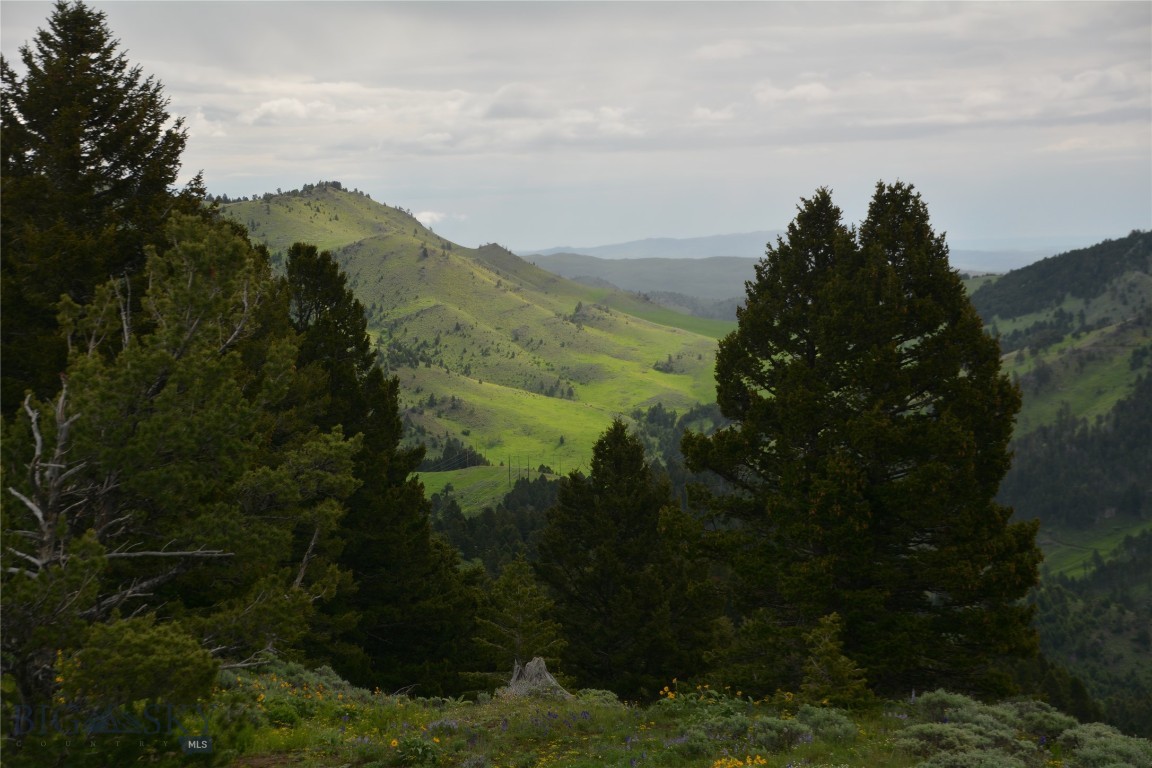 125 Rocky Mountain Meadows